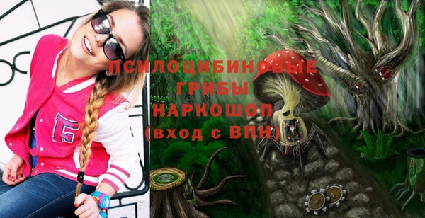 амф Балахна