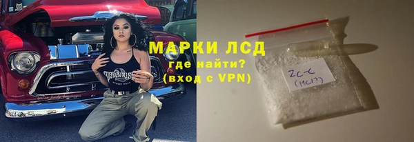 индика Баксан