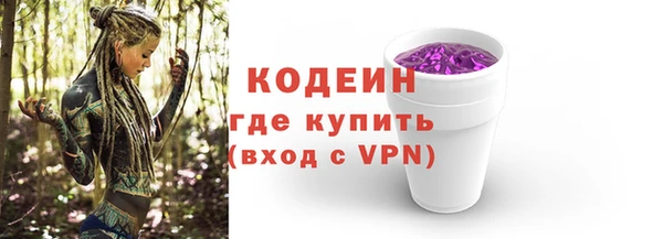 индика Баксан