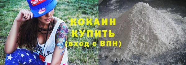 индика Баксан