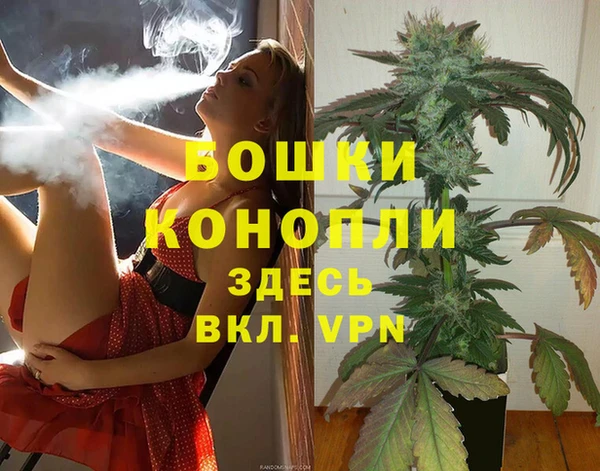 индика Баксан