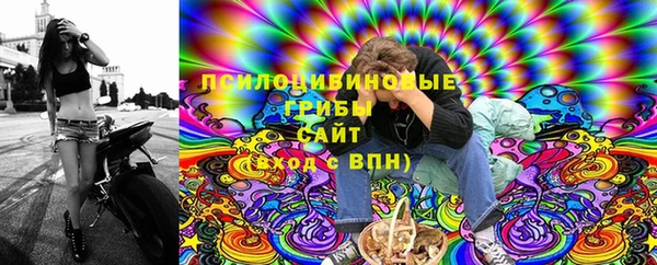 индика Баксан