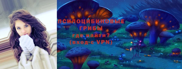 индика Баксан